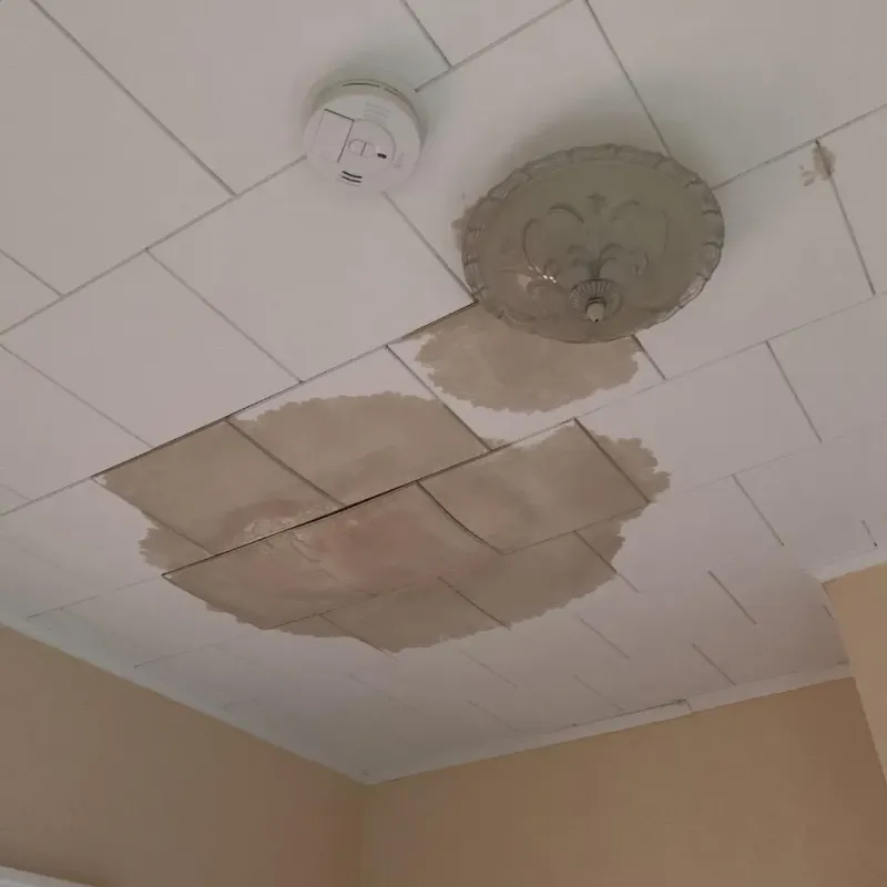 Ceiling Water Damage Repair in Rolesville, NC