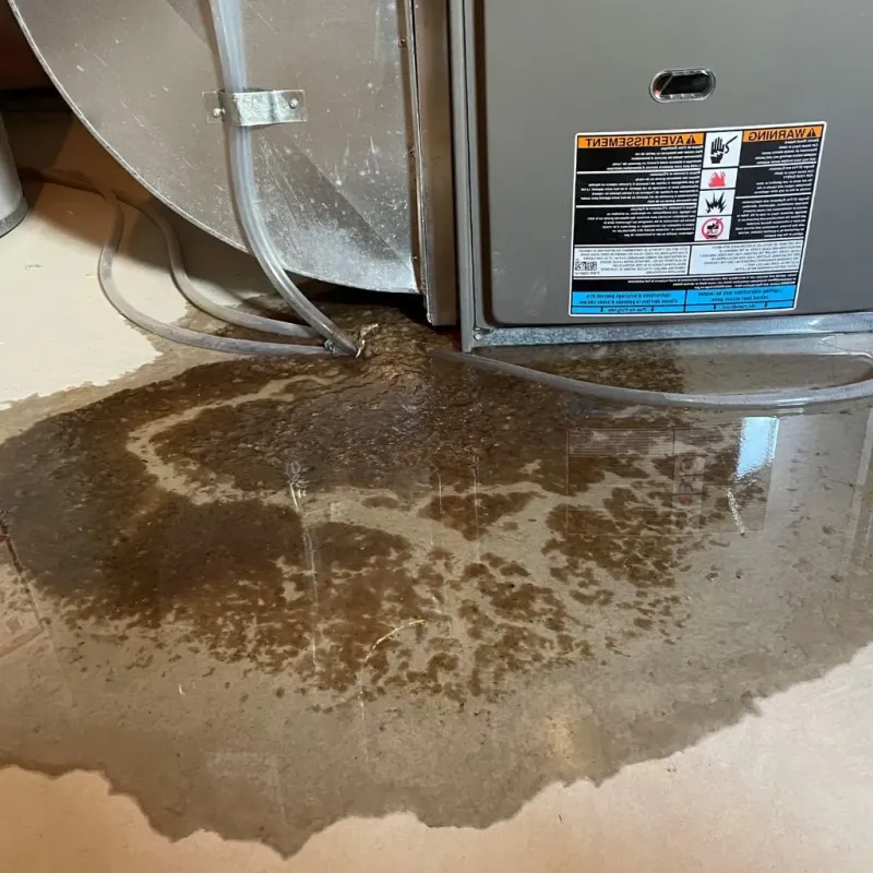 Pipe Burst and Leak Restoration in Rolesville, NC
