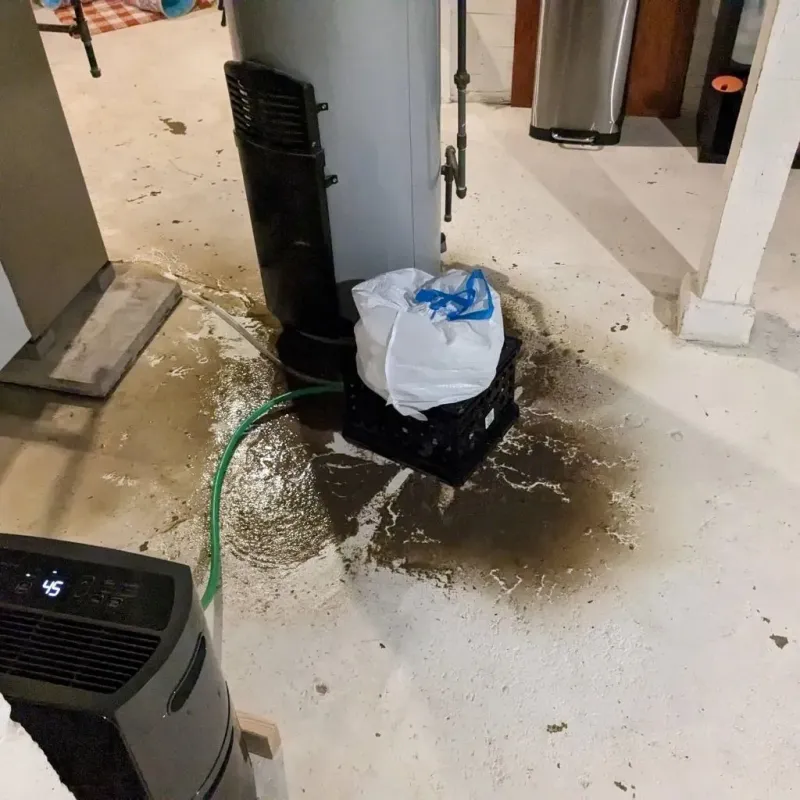 Sewage Backup Cleanup Service in Rolesville, NC